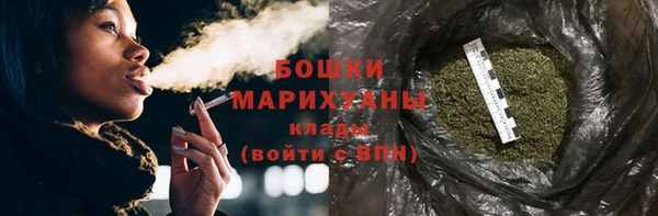 шишки Нязепетровск