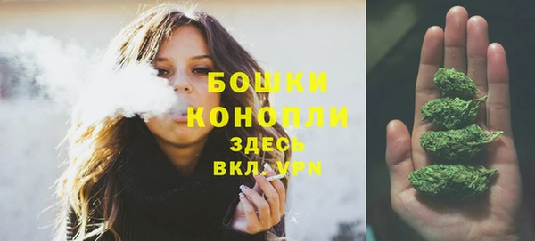 ГАЛЛЮЦИНОГЕННЫЕ ГРИБЫ Нягань