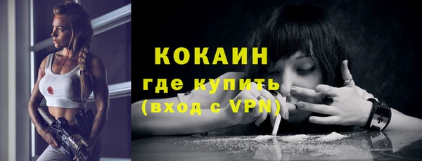 шишки Нязепетровск