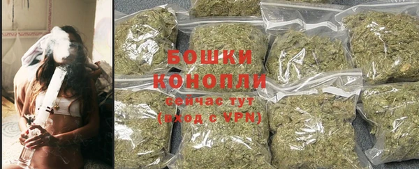 шишки Нязепетровск