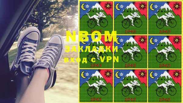 шишки Нязепетровск