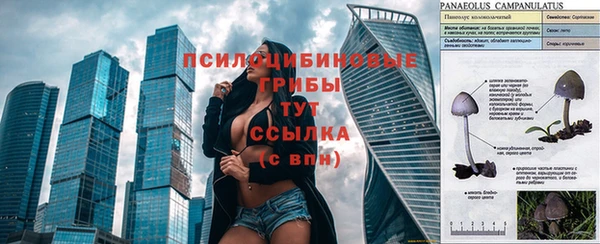 шишки Нязепетровск