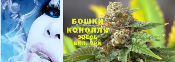 шишки Нязепетровск