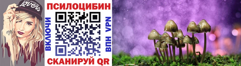 Галлюциногенные грибы Psilocybine cubensis  Купить где  Кедровый 