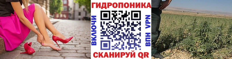 Бошки марихуана AK-47  Купить  Кедровый 